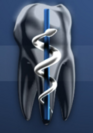 Gemeinschaftspraxis Dres. Kaiser Logo